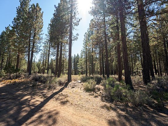 2nd image of 212 Grizzly Way