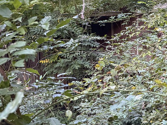 5th image of 142 Fishtrap Rd