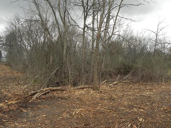 3rd image of 18180 W DALE DRIVE