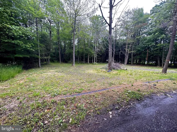 48 Hootie Holler Ln, Mount Storm, WV 26739