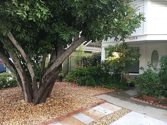4th image of 11314 Terra Vista Way