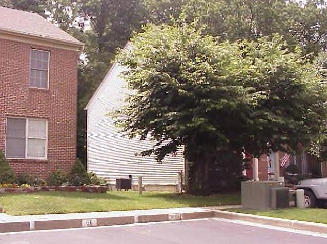 2nd image of 1259 Kirby Cir
