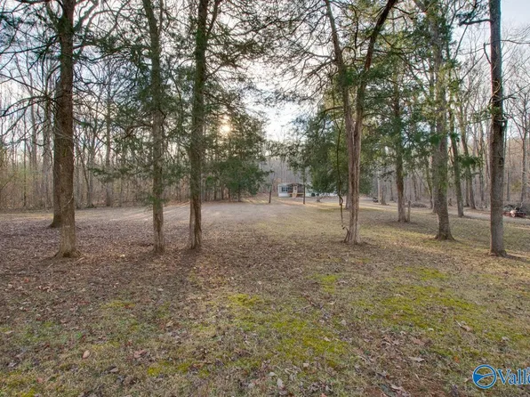 1020 Fishtrap Rd, Grant, AL 35747