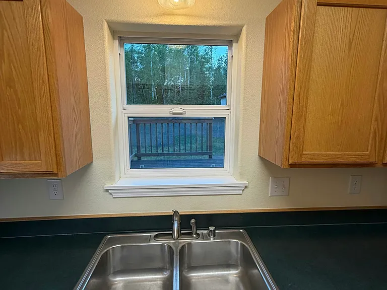 Kitchen sink view of back yard