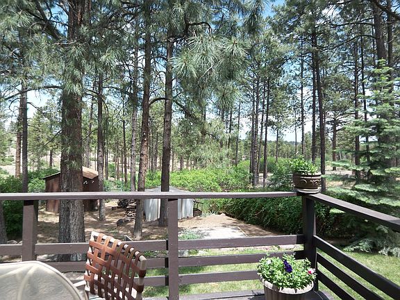 Back Yard Large Deck and two storage sheds