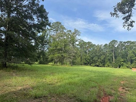 3rd image of 18163 Balfantz Rd