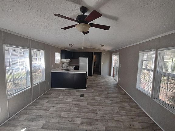 Living room and kitchen