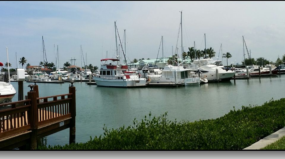 Water view
