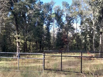 15951 NE 1st St #3, Williston, FL, 32696