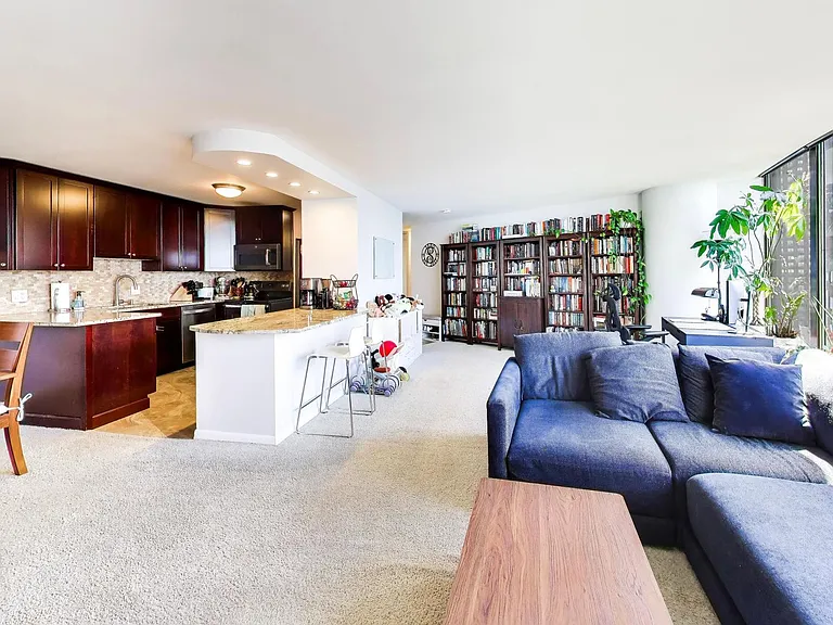 505 N Lake Shore Dr #2412 — Photo 12