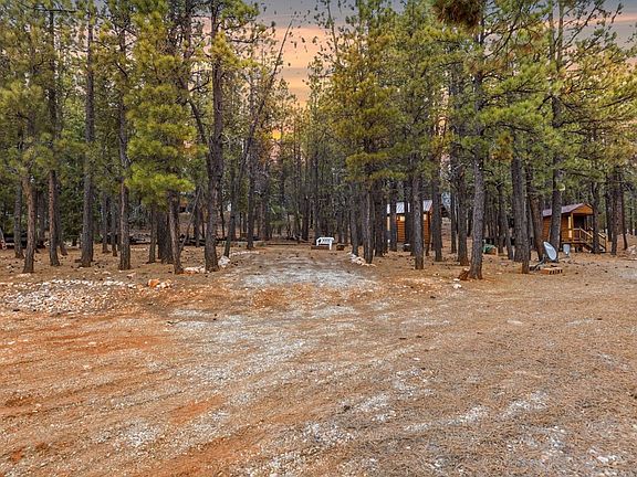 3rd image of 1170 N Ponderosa Dr