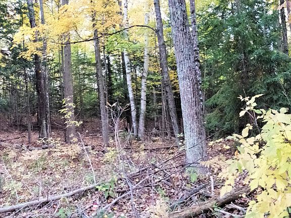 3rd image of Algonquin Trl
