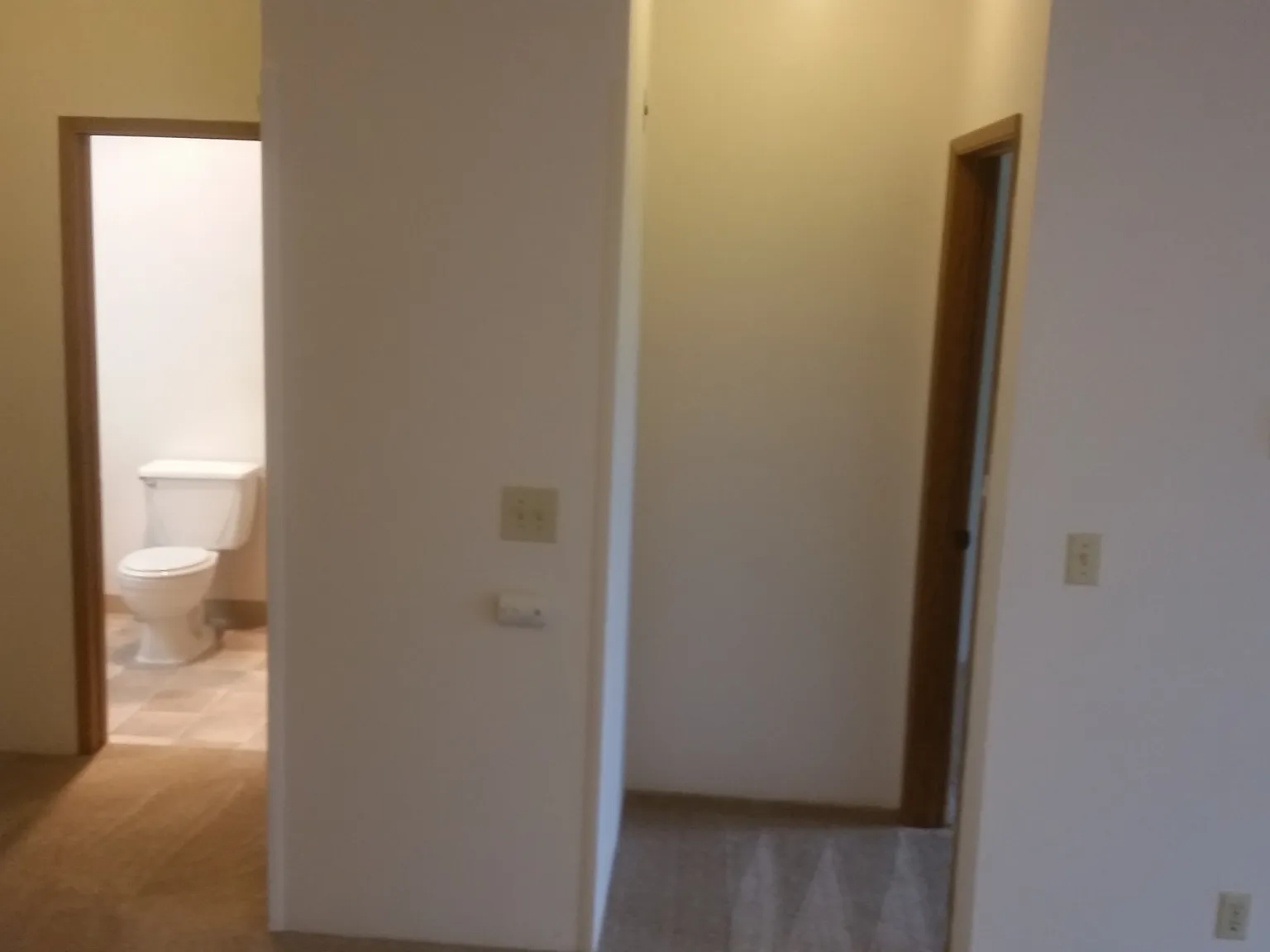 1 bed, 580 sqft, $1,699 — Photo 4
