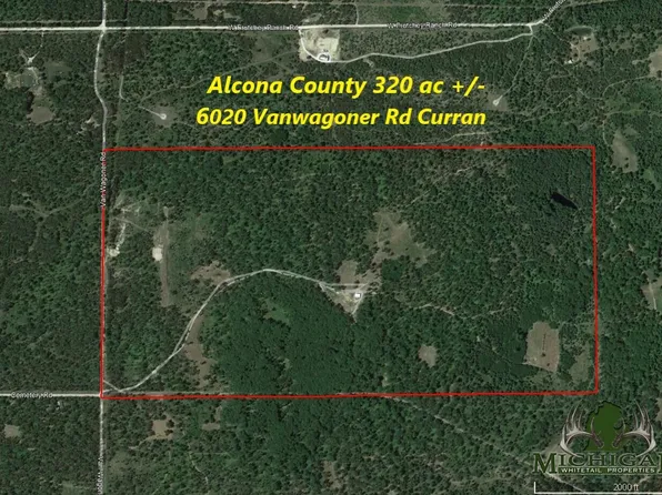 6020 Vanwagoner Rd, Curran, MI 48728