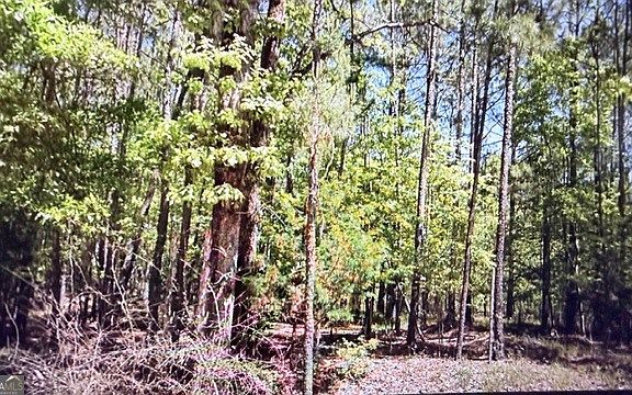 5th image of 0 Goshen Rd