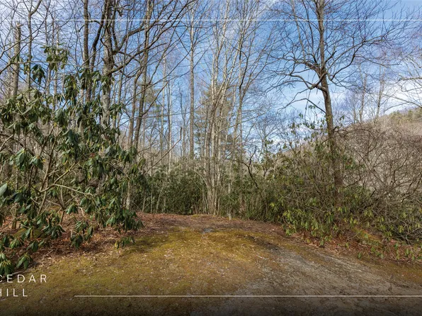 Lot 46 E Rochester Drive, Cashiers, NC 28717