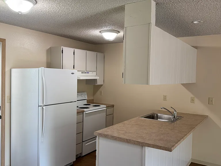 The Villa 1 Bed - Kitchen