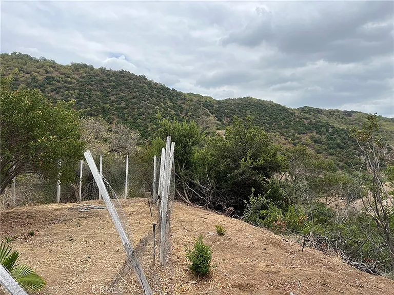 5620 Carbon Canyon Rd — Photo 24