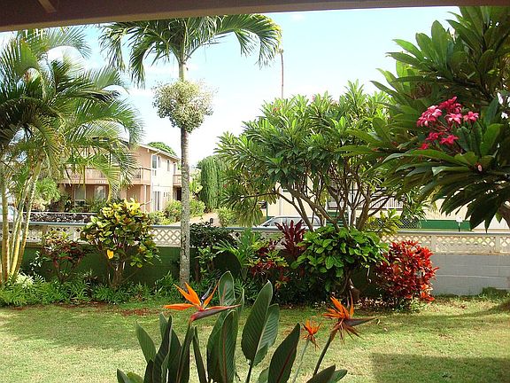 Front yard