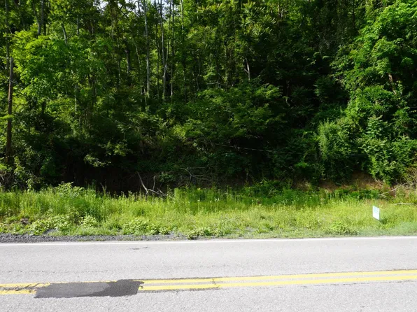 2113 Route 52, Gilbert, WV 25621
