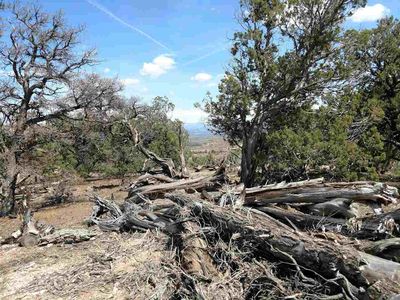 1763 35 1/10 Rd, De Beque, CO, 81527