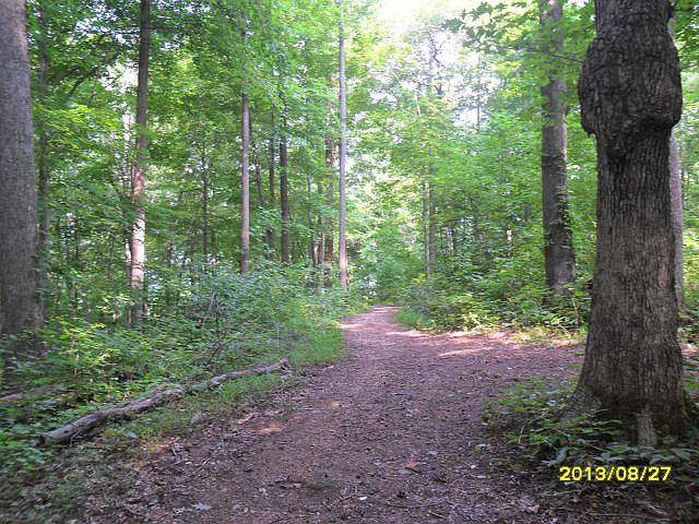 2nd image of Tecumseh Ln