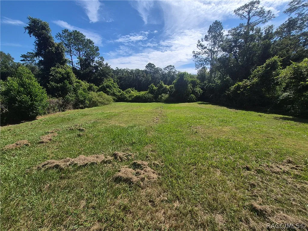 3 bed, 1246 sqft, $1,350 — Photo 3