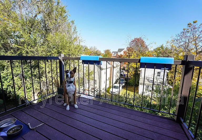 1107 N Taylor St #C — Photo 21
