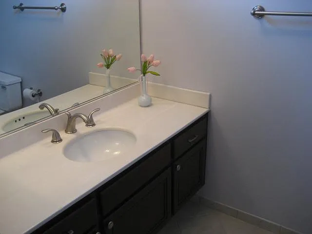 Master Bathroom

*NOTE: This photo is not current, the bathroom has been completely updated with new vanity, quartz countertop, new sink, new faucet, new mirror, and new toilet