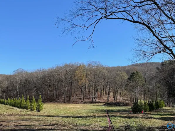 125 King Drake Rd, Brownsboro, AL 35741