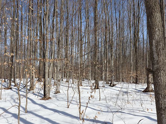 3rd image of Walker Rd NW