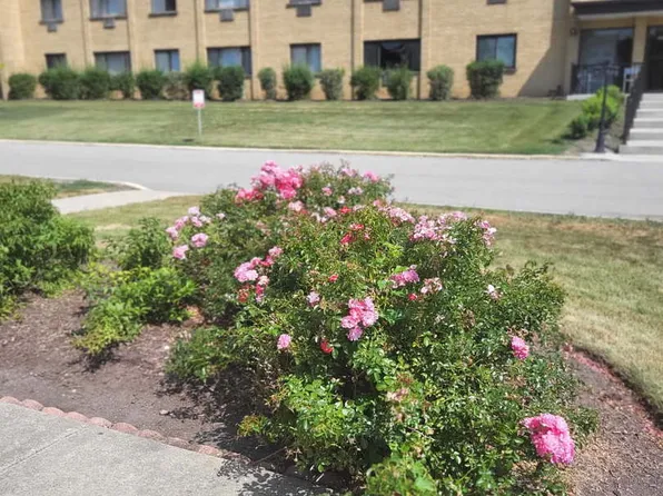 6670 S Brainard Ave APT 404, Countryside, IL 60525