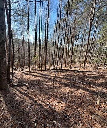 5th image of LOT-36R Lake View Ln