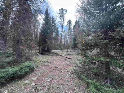 766 Crest Dr, Cimarron, CO, 81220