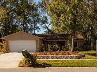 4117 Canoga Park Dr, Brandon, FL 33511