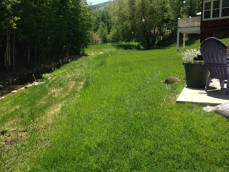 Backdoor opens on to a small green space and shared patio.