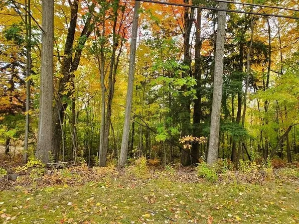 0 Margo St, Tawas City, MI 48763