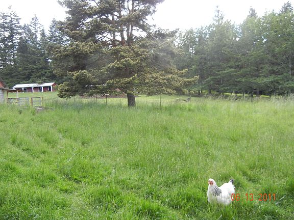 back acreage, cross fenced