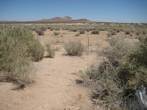 4th image of Harvard Ave