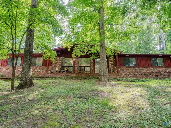 3919 S Chapel Hill Rd SW, Decatur, AL 35603