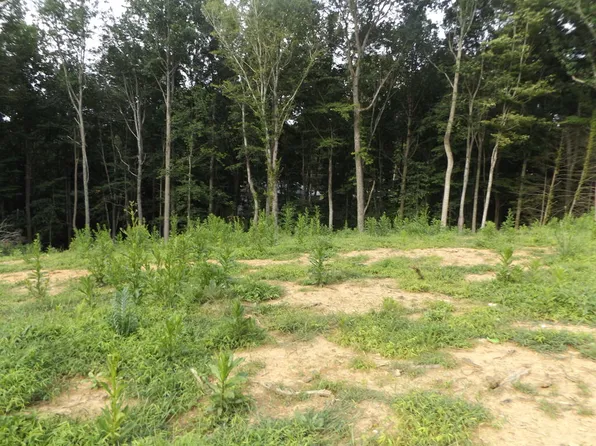 Maple Dr, Hillsville, VA 24343