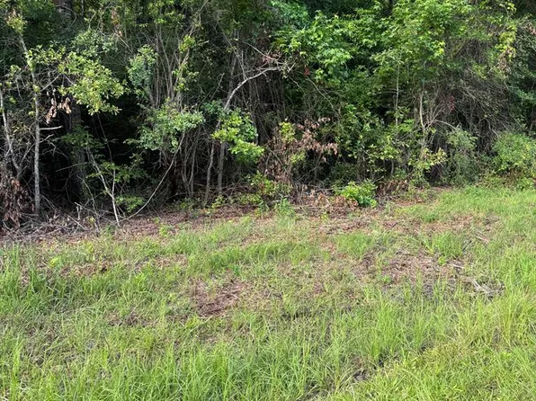362 Timber Ln, Abbeville, AL 36310