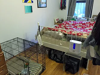 Rented by Joe Gotham LTD