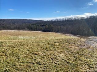 5341 Morgan Hill Rd #2, Scio, NY 14880