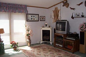 Gas log stove plus natural gas furnace.