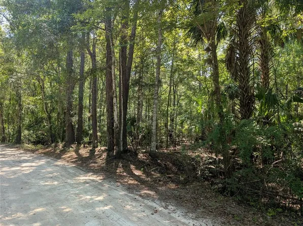 6252 E River Rd Lot 9, Hernando, FL 34442