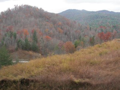 Tbd Buffalo Cove Rd, Lenoir, NC, 28645