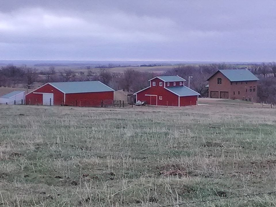 View from top of driveway