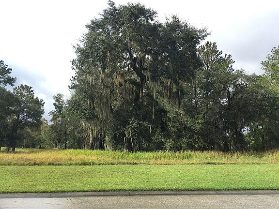 2nd image of 4523 Hickory Oak Dr