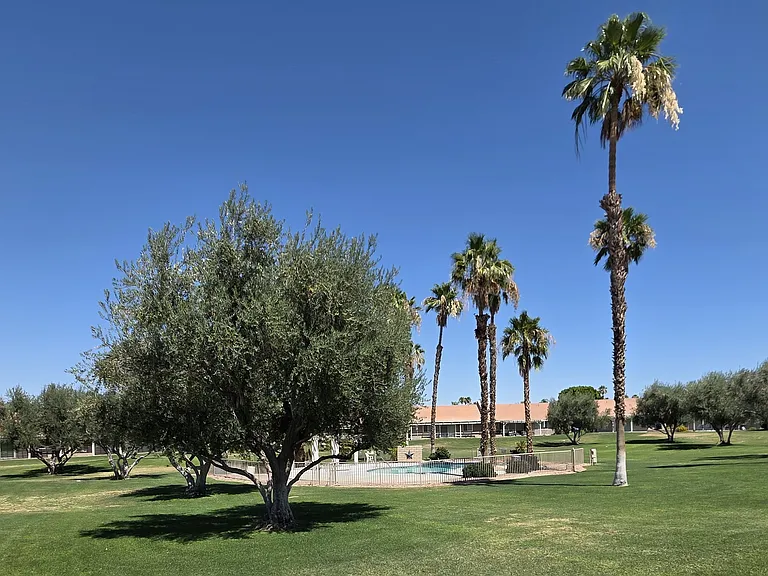 44200 E Sundown Crest Dr — Photo 39